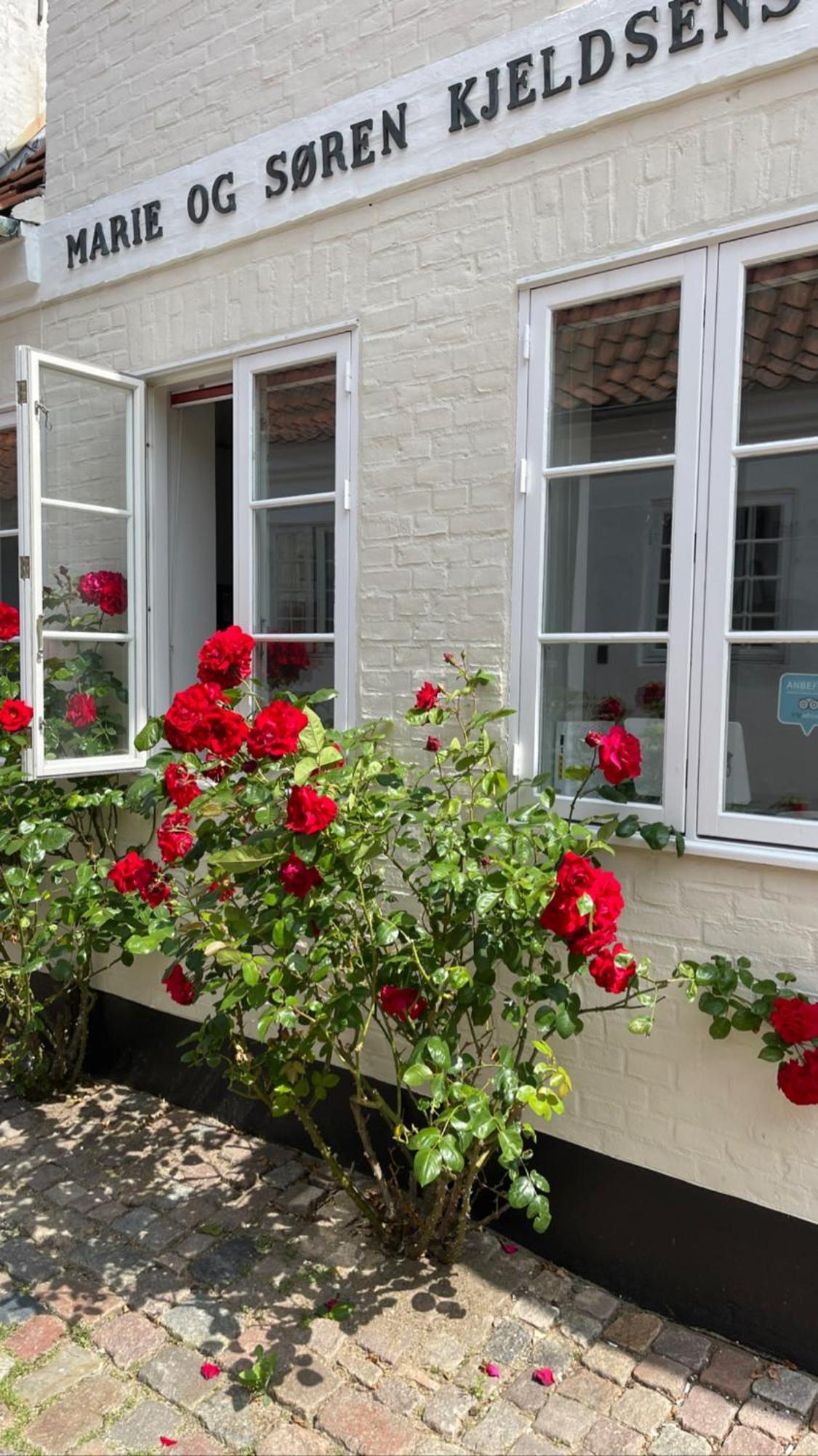 Restaurant Saelhunden Bed & Breakfast Ribe Exterior photo