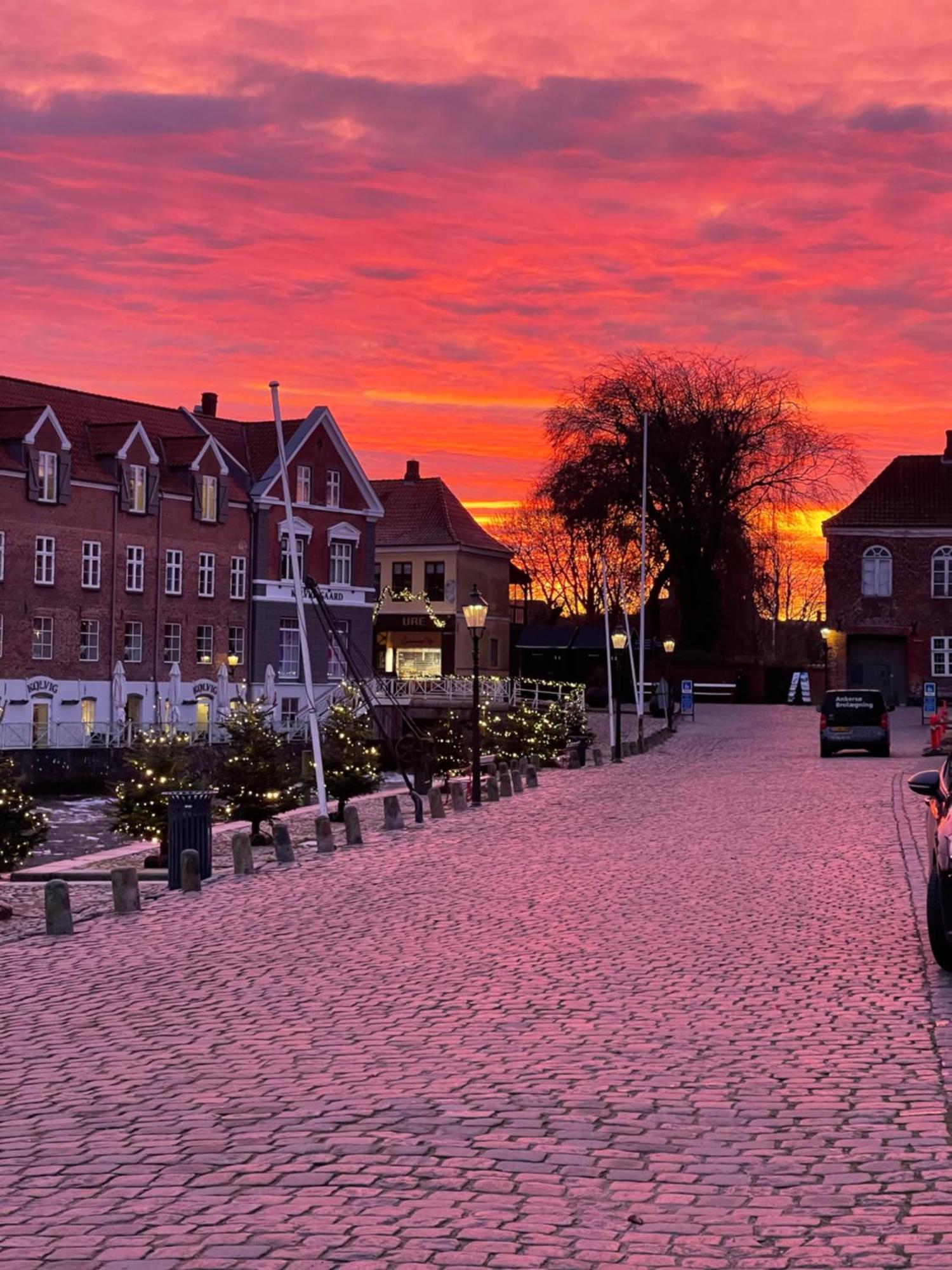 Restaurant Saelhunden Bed & Breakfast Ribe Exterior photo