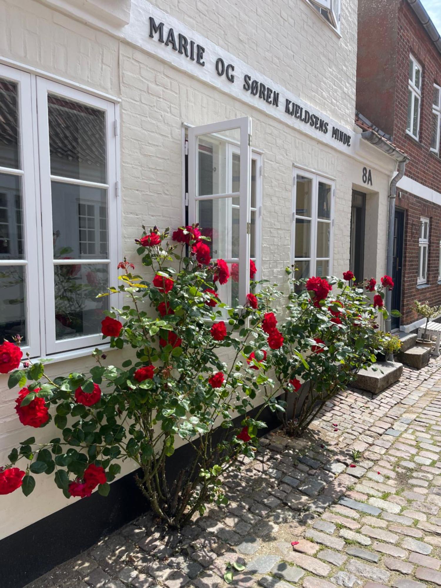 Restaurant Saelhunden Bed & Breakfast Ribe Exterior photo